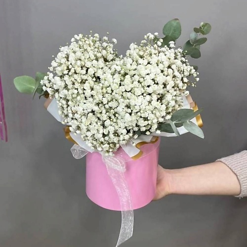 

GLOW FLOWERS Гипсафила в коробочке, нежное облако, Гипсафила в коробочке, нежное облако