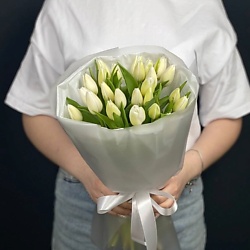 Тюльпаны 25штук