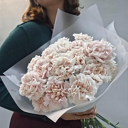 Монобукет из 11 нежных диантусов