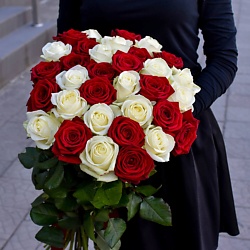 33 красно-белых роза, Эквадор 50 см