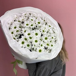 Букет из 15 кустовых хризантем "Chic"