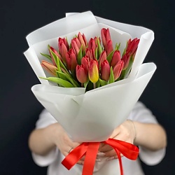 Тюльпаны 23 штуки