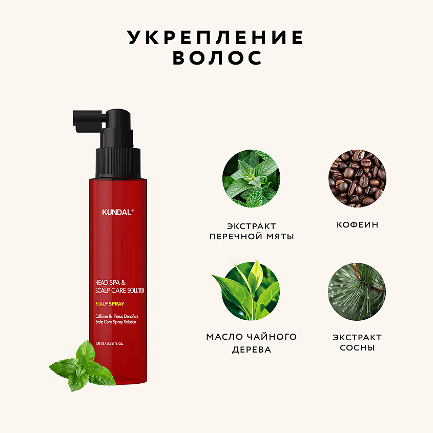 KUNDAL Тоник для кожи головы с кофеином и экстрактом сосны Head Spa & Scalp Care Solution Scalp Spray – фото 3