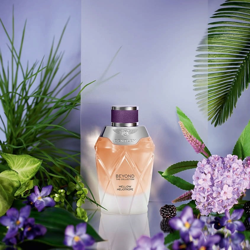 BENTLEY Mellow Heliotrope – фото 2