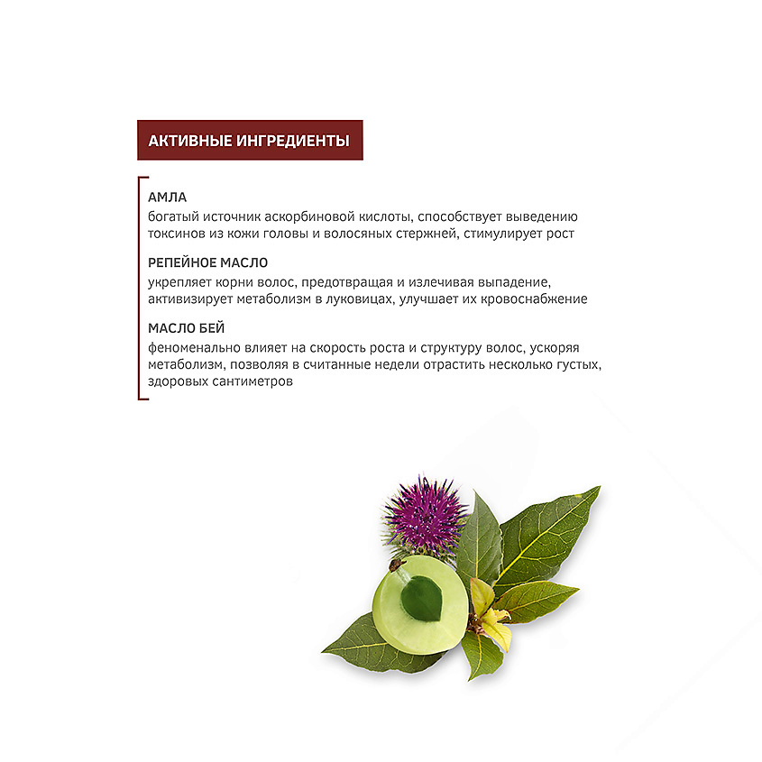 ZEITUN Легкосмываемое масло с амлой и маслом бей "Активатор роста волос" Hair Growth Booster – фото 4