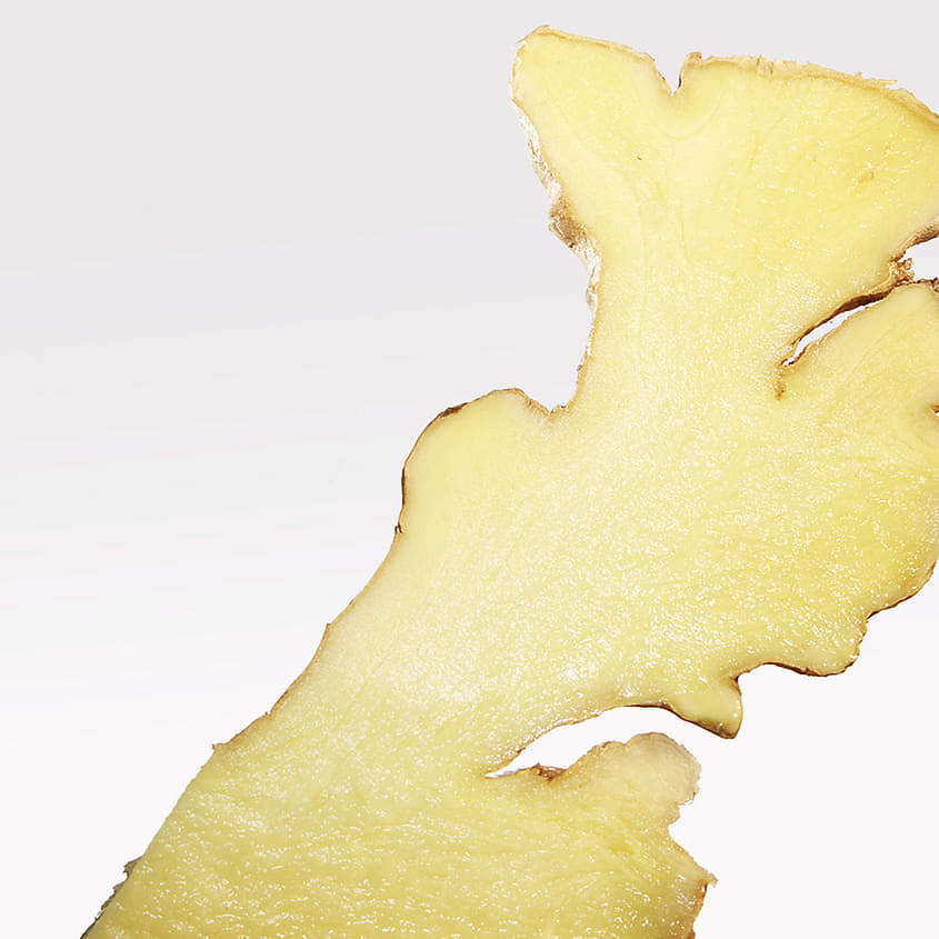 LACOSTE L.12.12 Blanc Eau Fraîche – фото 8