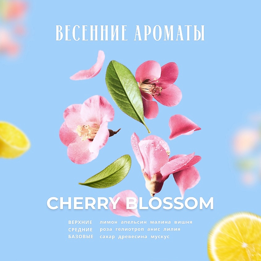 KUNDAL Сыворотка для волос восстанавливающая Цветок вишни Macadamia Ultra Serum – фото 5