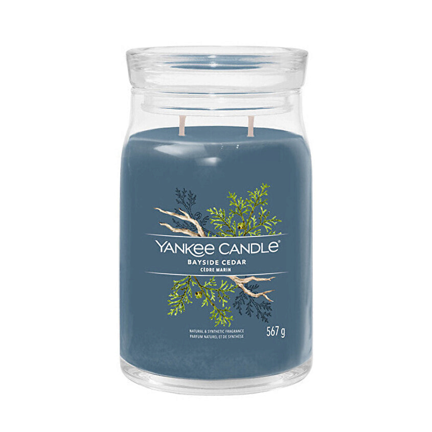 Изображение товара YANKEE CANDLE Ароматическая свеча Bayside Cedar, 567 г