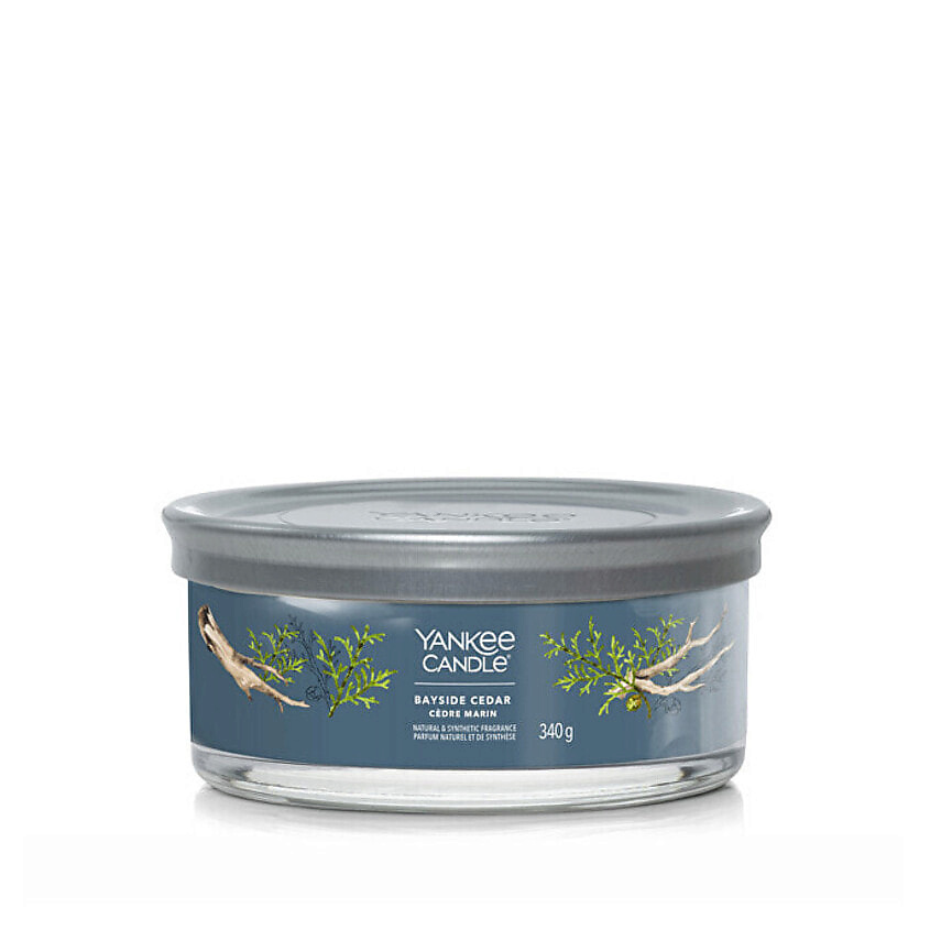 Изображение товара YANKEE CANDLE Ароматическая свеча Bayside Cedar, 340 г