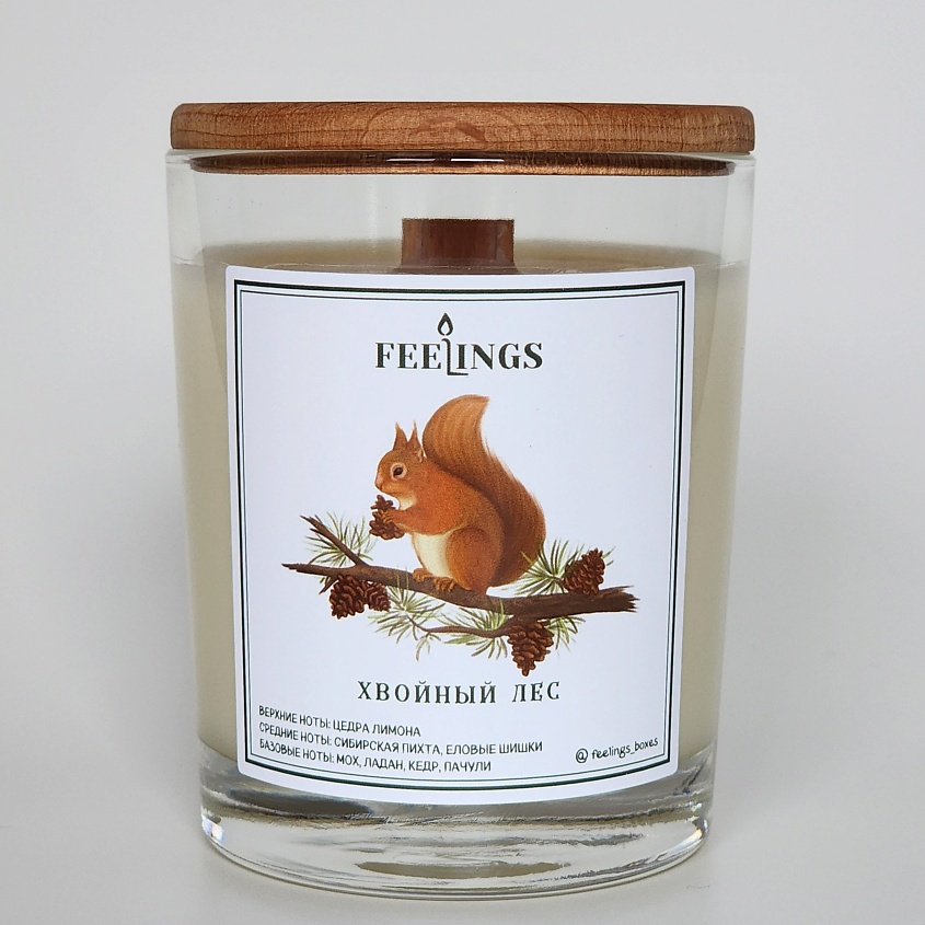 Изображение товара FEELINGS Свеча ароматическая из соевого воска "Хвойный лес", 1 шт.