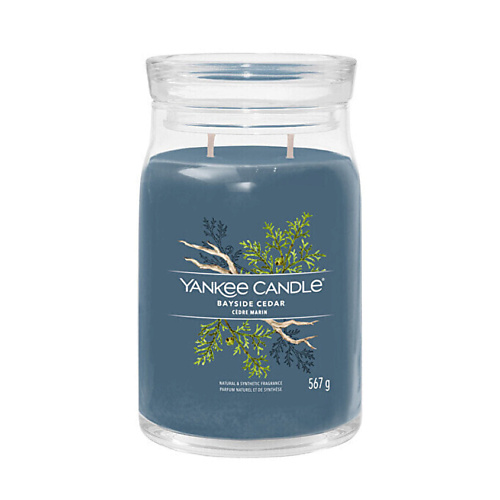 

YANKEE CANDLE Ароматическая свеча Bayside Cedar, Ароматическая свеча Bayside Cedar