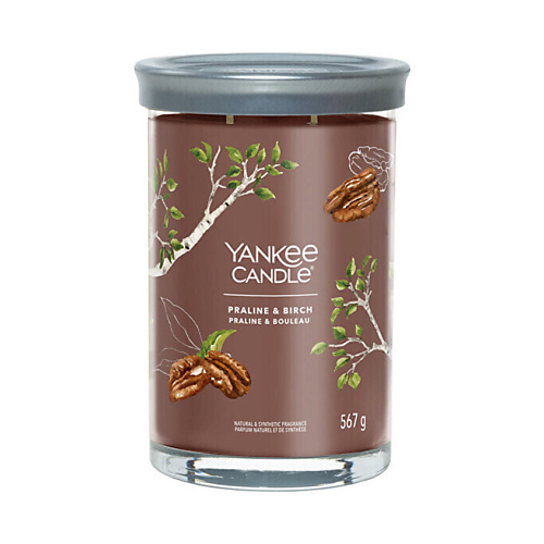 Свеча ароматическая YANKEE CANDLE Ароматическая свеча  Praline & Birch