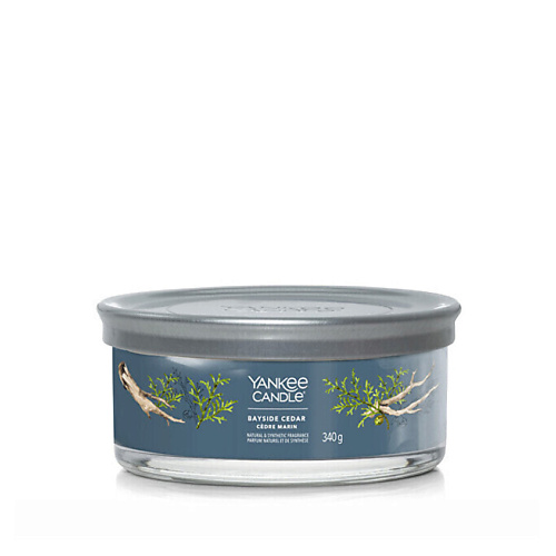 

YANKEE CANDLE Ароматическая свеча Bayside Cedar, Ароматическая свеча Bayside Cedar