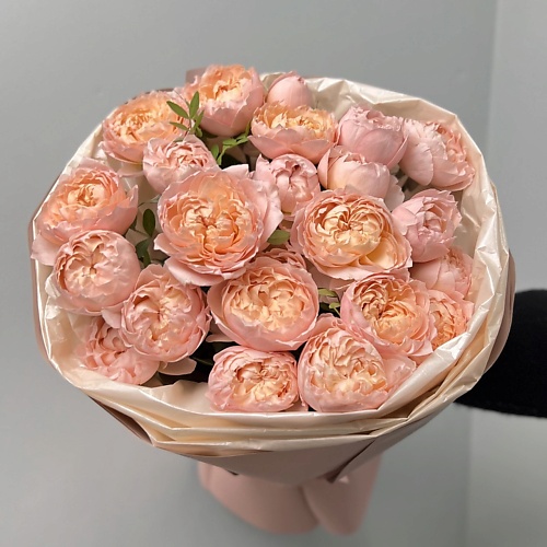 

FLORES Персиковые кустовые пионовидные розы Джульетт в упаковке, Персиковые кустовые пионовидные розы Джульетт в упаковке