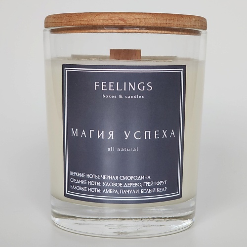 

FEELINGS Свеча ароматическая "Магия успеха", Свеча ароматическая "Магия успеха"