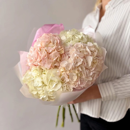 

WHITE ROSE STUDIO Букет из 5 нежных гортензий, Букет из 5 нежных гортензий