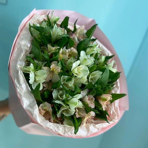

ЛЯ, БУКЕТ Кругляш, Кругляш