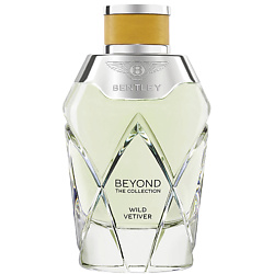 Beyond the Collection Wild Vetiver