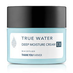Крем для лица увлажняющий True Water Deep Moisture Cream