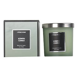 Ароматизированная свеча Spruce & Cedar