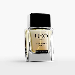 Sea Notes Lime