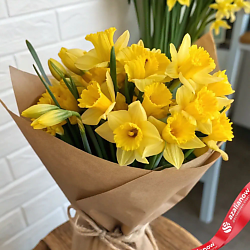 Яркий весенний букет из 15 желтых нарциссов в крафте
