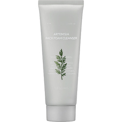 Успокаивающая пенка-маска для умывания с экстрактом полыни Artemisia Calming Pack Foam Cleanser