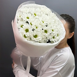 Хризантемы