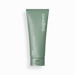Пенка для лица очищающая успокаивающая с полынью Mugwort Skin Care