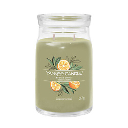 Ароматическая свеча Sage & Citrus