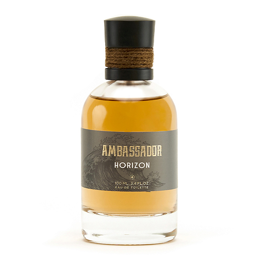 AMBASSADOR Horizon купить по цене 1999₽ в ЛЭТУАЛЬ