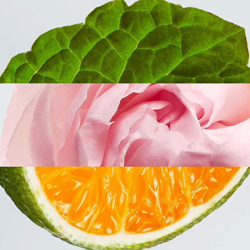 LACOSTE L.12.12 Rose – фото 8