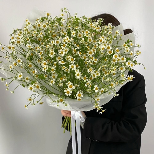 

VLSHBN FLOWERS STATE Монобукет из ромашек, Монобукет из ромашек