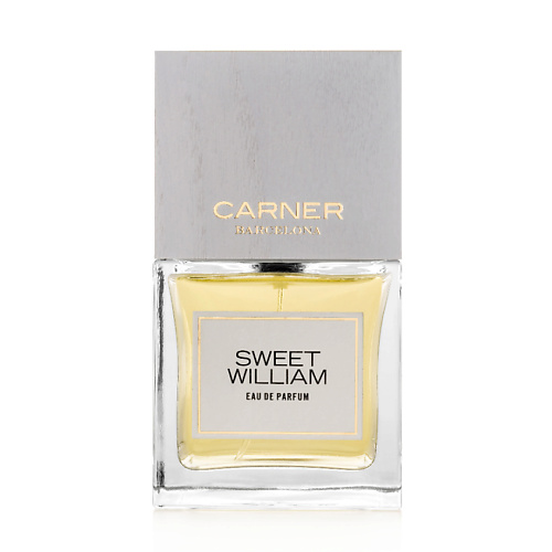 

CARNER BARCELONA Sweet William 50, Sweet William