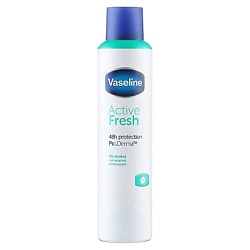 Дезодорант-спрей Active Fresh 48H Protection