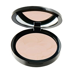 Пудра для лица PROFASHION ADVANCED POWDER
