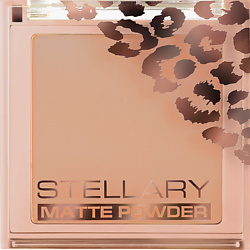 Компактная пудра для лица, шелковистая текстура с матирующим эффектом Pressed Powder