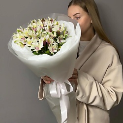 Монобукет комплимент из белых альстромерий