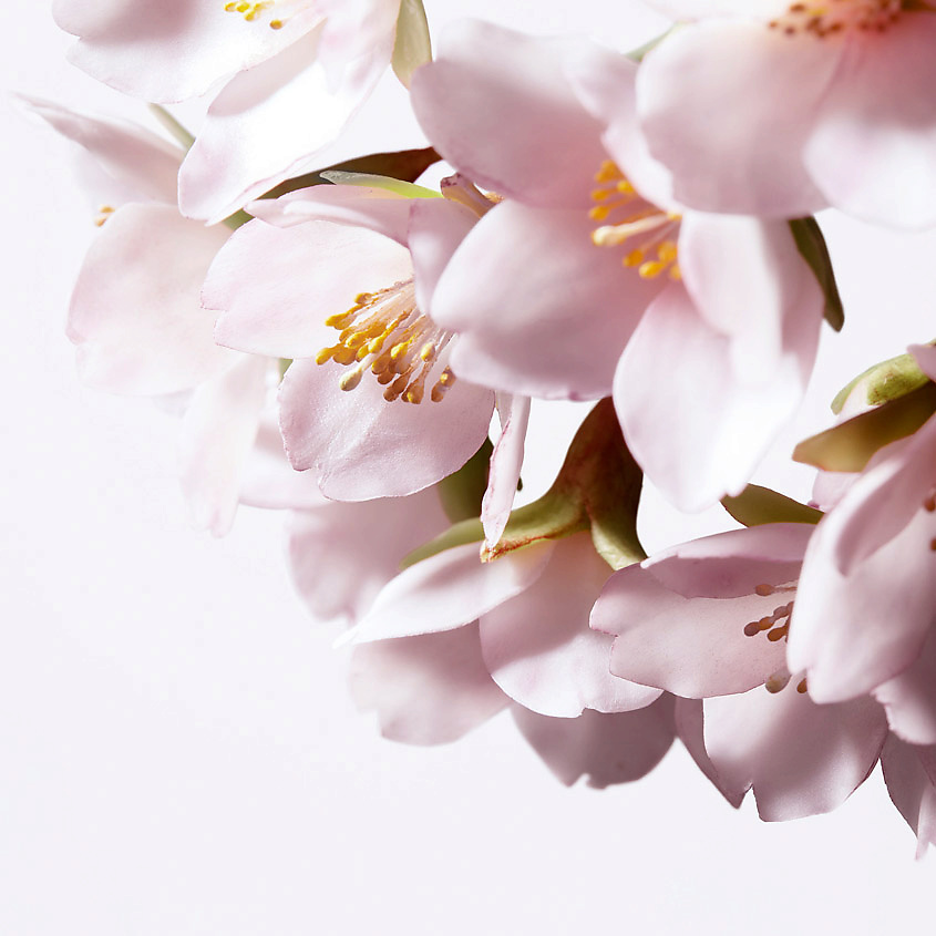 SHISEIDO Осветляющая сыворотка против пигментных пятен White Lucent – фото 5