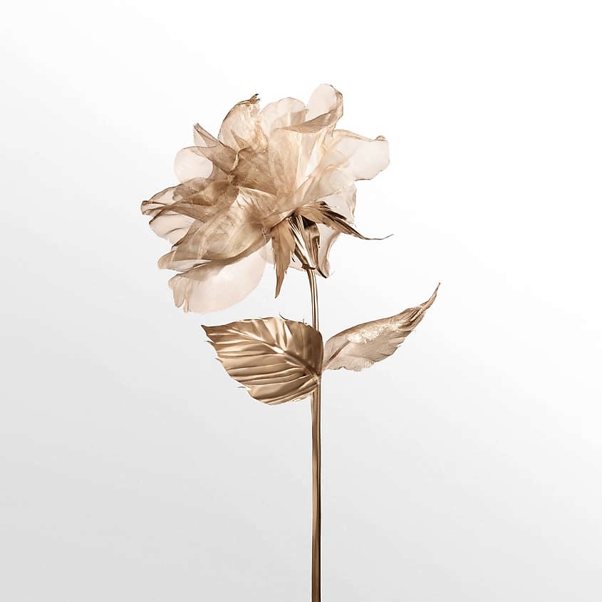 TIFFANY & CO Rose Gold – фото 6
