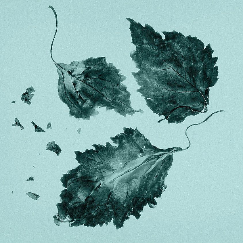 TIFFANY & CO Tiffany & Co – фото 8