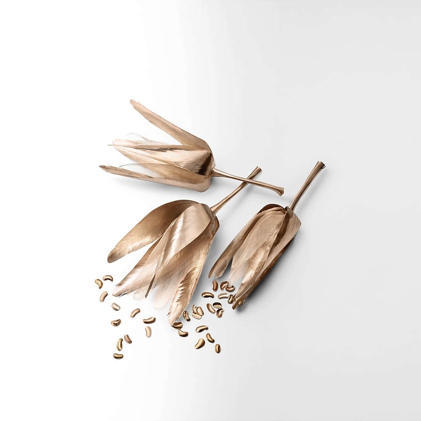 TIFFANY & CO Rose Gold – фото 5