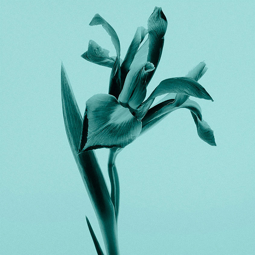 TIFFANY & CO Tiffany & Co – фото 6