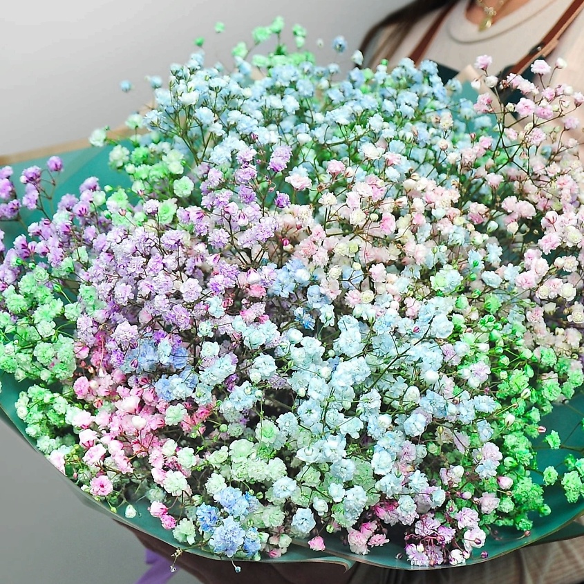 Изображение товара Букет из разноцветной гипсофилы Радуга от STUDIO FLORISTIC 37 см