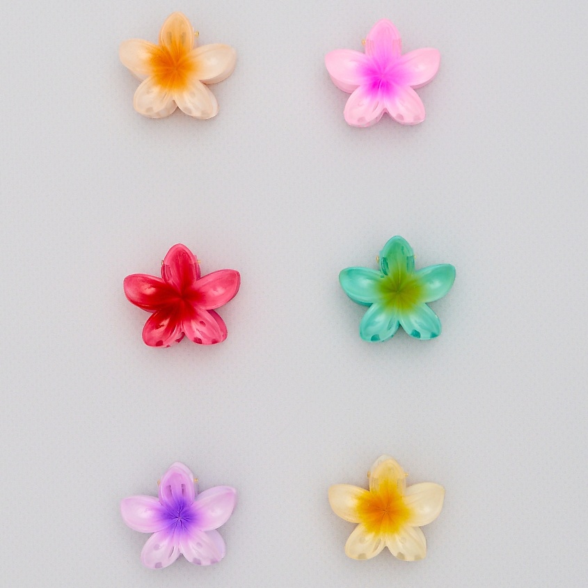 Изображение товара ZIKOLKI STORE Заколка крабик аксессуар для волос цветок подарочный набор крабов, 6 шт.