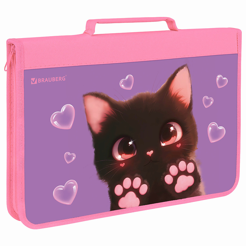 Изображение товара Папка на молнии BRAUBERG А4 с ручкой и органайзером