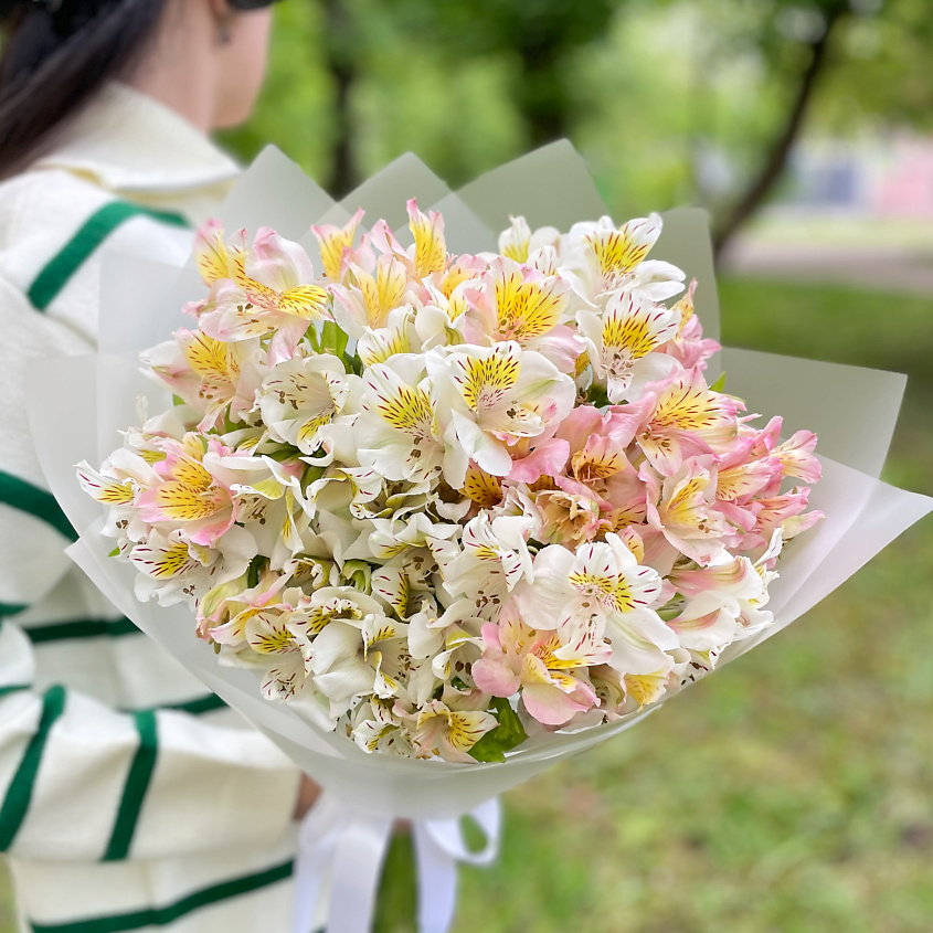 Изображение товара ELEVEN FLOWERS Альстромерия микс, 1 шт.