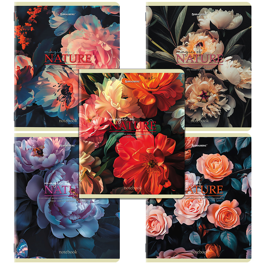 Изображение товара BRAUBERG Тетради Funny Animals, Мультиколор