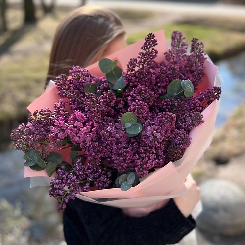 

LE BOUQUET Сирень Букет цветов, Сирень Букет цветов