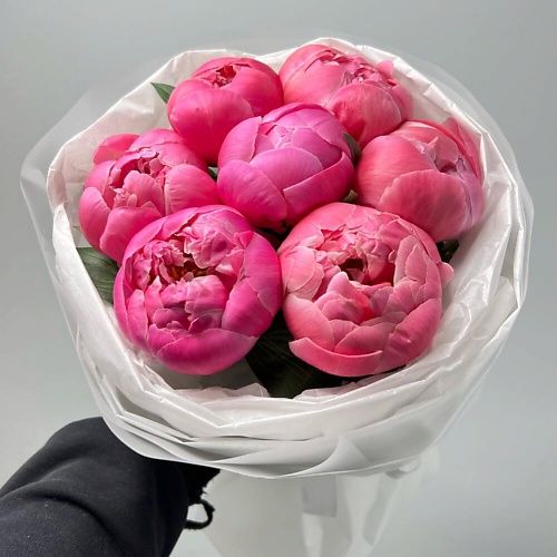 

FLORES 7 коралловых пионов Корал Шарм, 7 коралловых пионов Корал Шарм